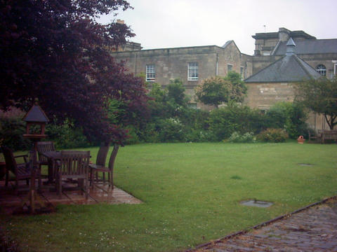 The garden. The garden